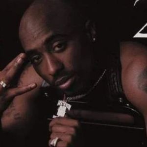 Meet your Posher, Elvin